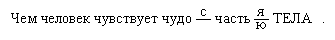 Чем человек чувствует чудо — часть — ТЕЛА